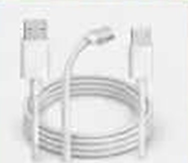 iPhone charger